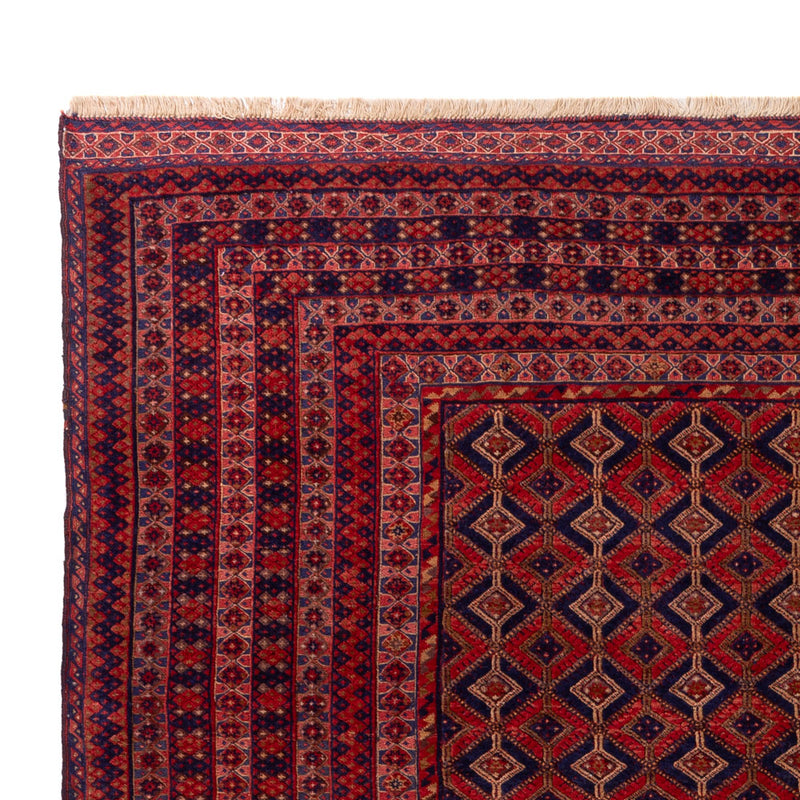 Kilim afegão Tapete 270x228cm