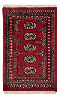 Tapete Paquistão 62x94cm - Tapete Oriental – product image