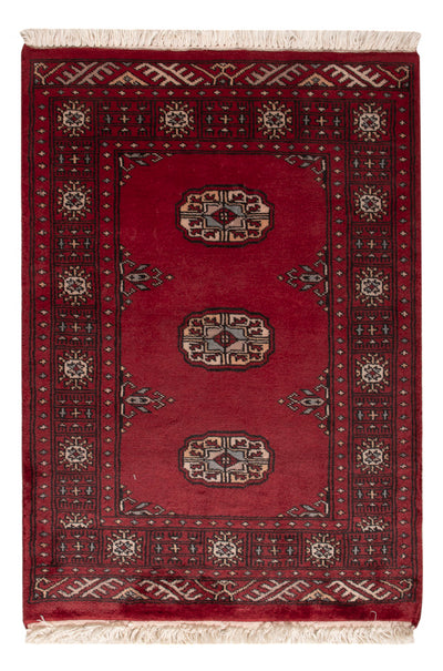 Tapete Paquistão 64x88cm - Tapete Oriental