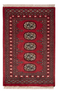 Tapete Paquistão 61x95cm - Tapete Oriental – product image