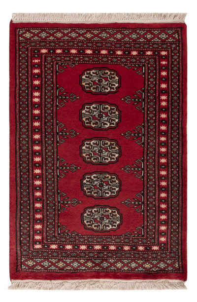 Tapete Paquistão 64x92cm - Tapete Oriental