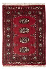 Tapete Paquistão 83x62cm - Tapete Oriental – product image