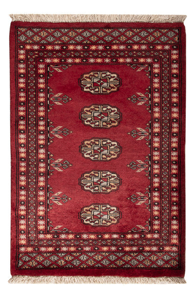 Tapete Paquistão 67x95cm - Tapete Oriental