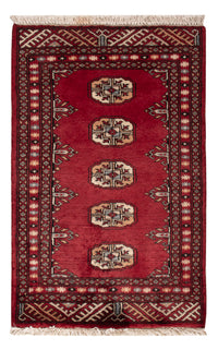 Tapete Paquistão 60x90cm - Tapete Oriental – product image