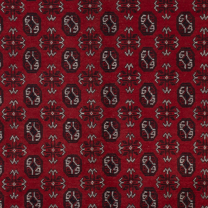 Akhche Tapete 302x245cm - Tapete Oriental
