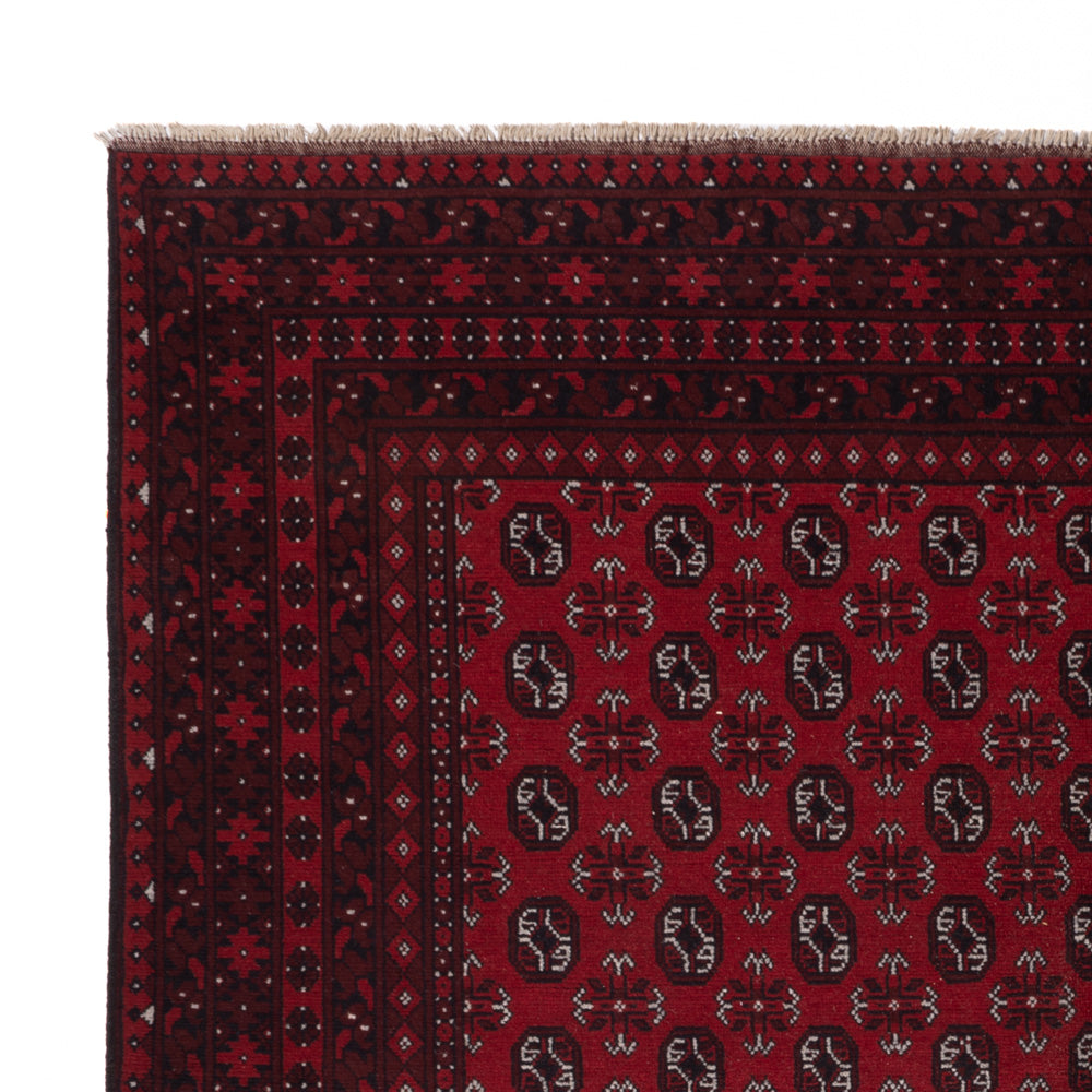 Akhche Tapete 302x245cm - Tapete Oriental