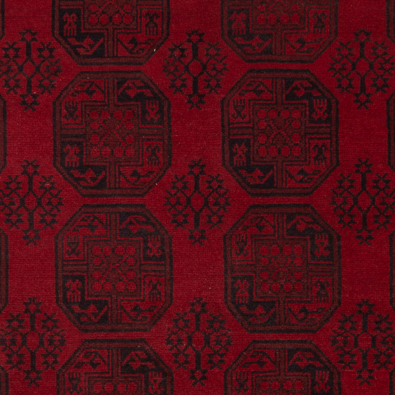 Akhche Tapete 301x249cm - Tapete Oriental