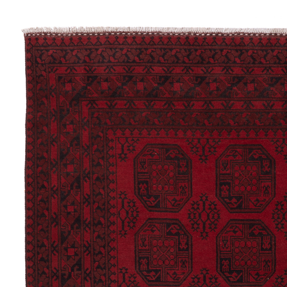 Akhche Tapete 301x249cm - Tapete Oriental