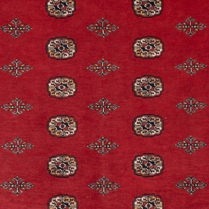 Tapete Paquistão 331x251cm - Tapete Oriental