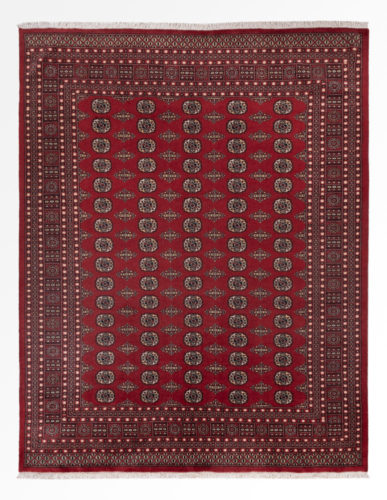 Tapete Paquistão 248x318cm - Tapete Oriental