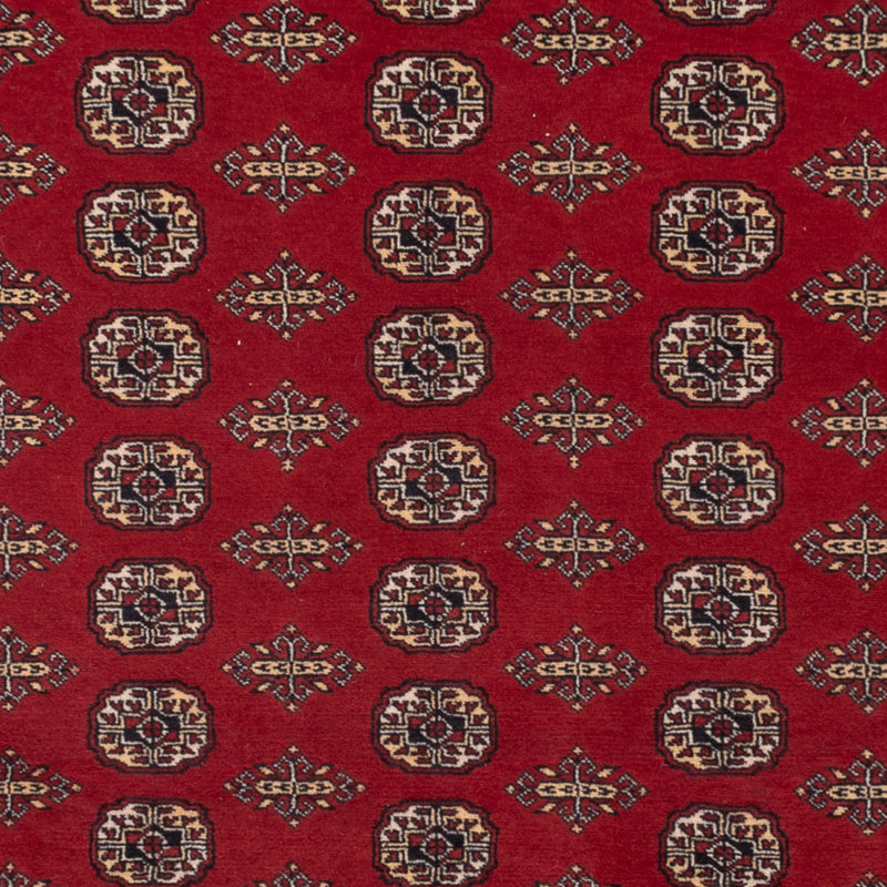 Tapete Paquistão 248x318cm - Tapete Oriental