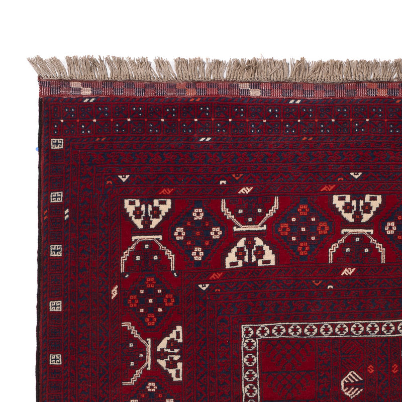 Tapete afegão 246x151cm - Tapete Oriental