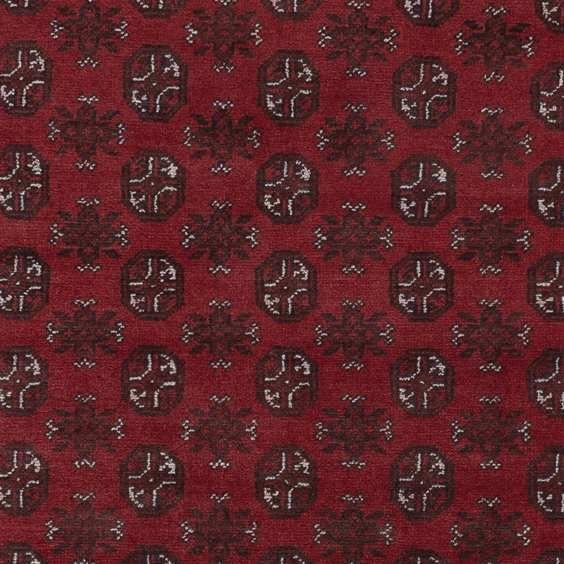 Akhche Tapete 288x198cm - Tapete Oriental