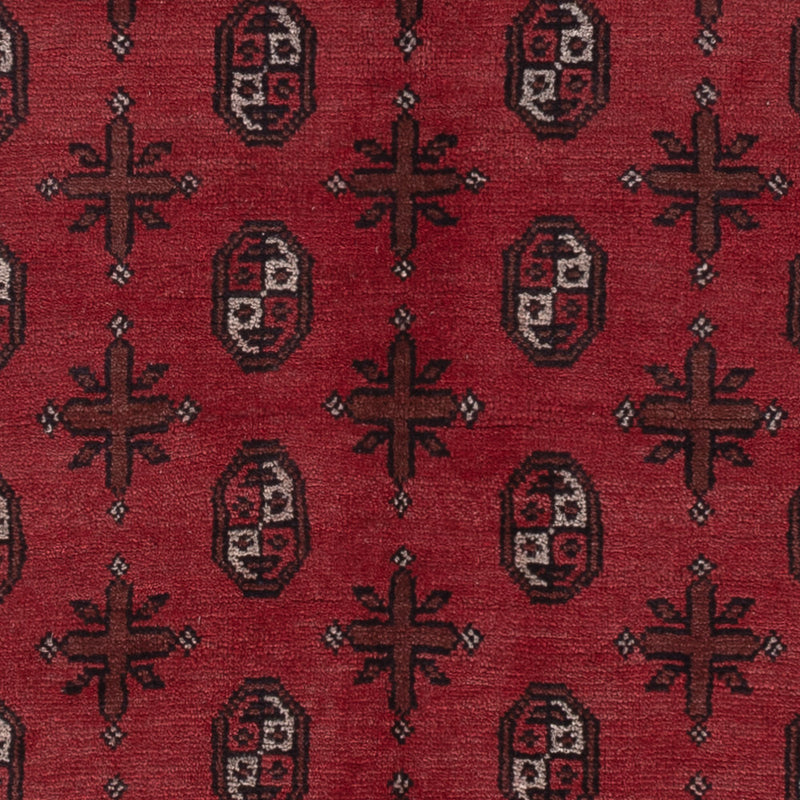 Akhche Tapete 242x164cm - Tapete Oriental