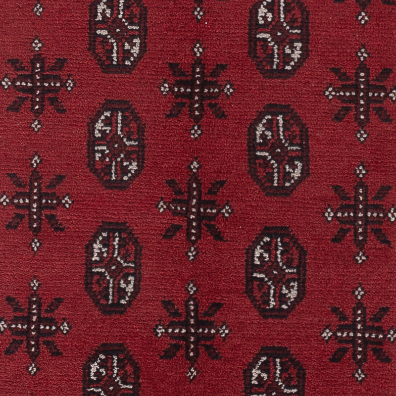 Akhche Tapete 199x149cm - Tapete Oriental