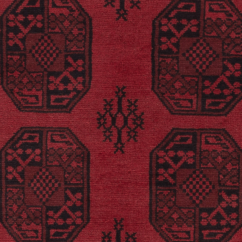 Akhche Tapete 242x162cm - Tapete Oriental