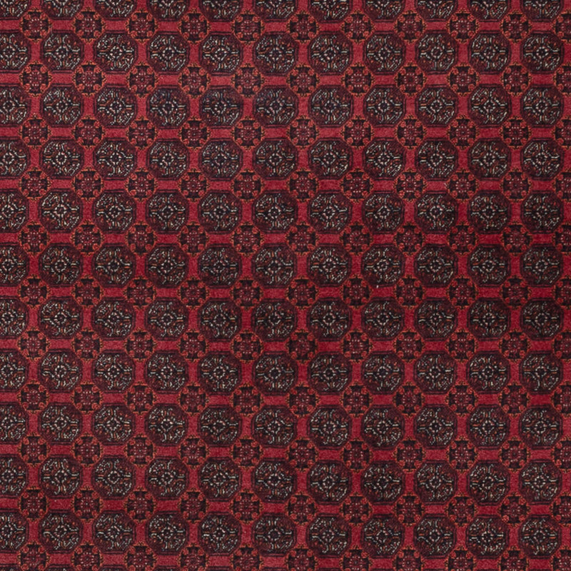 Tapete afegão 297x198cm - Tapete Oriental