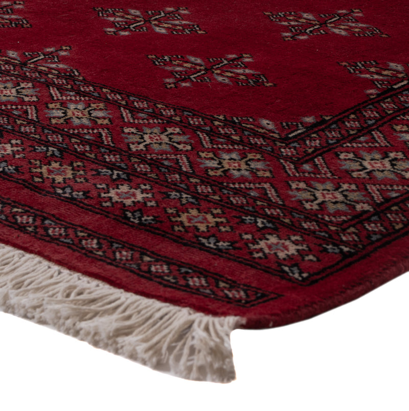 Pakistan Teppich 152x95cm - Orientteppich