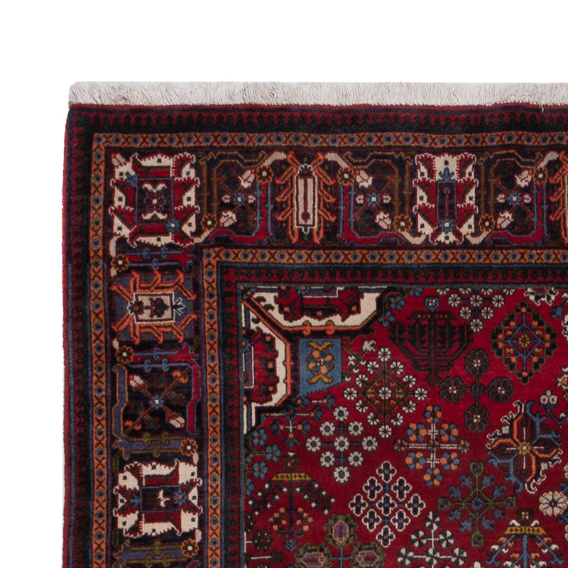 Meymeh Tapete 248x160cm - Tapete persa