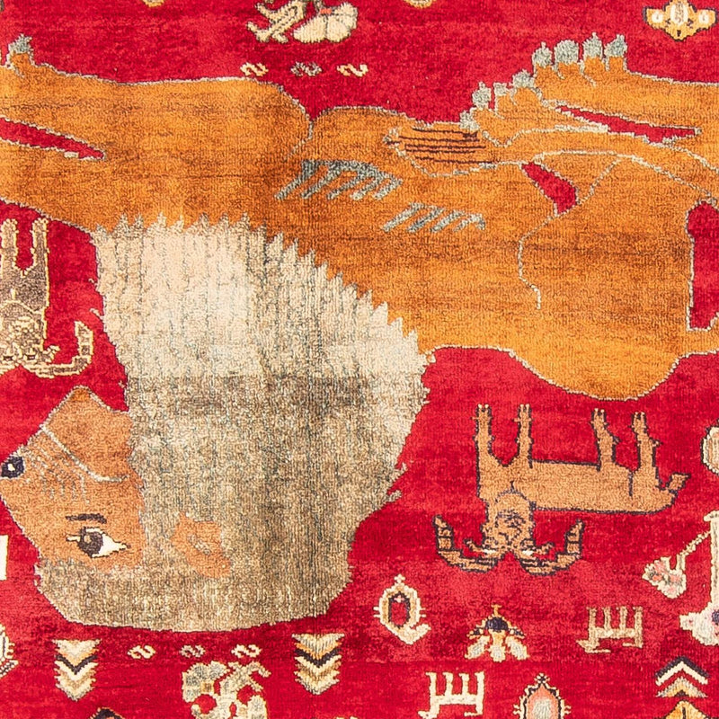Kashkuli Tapete 171x265cm - Tapete persa