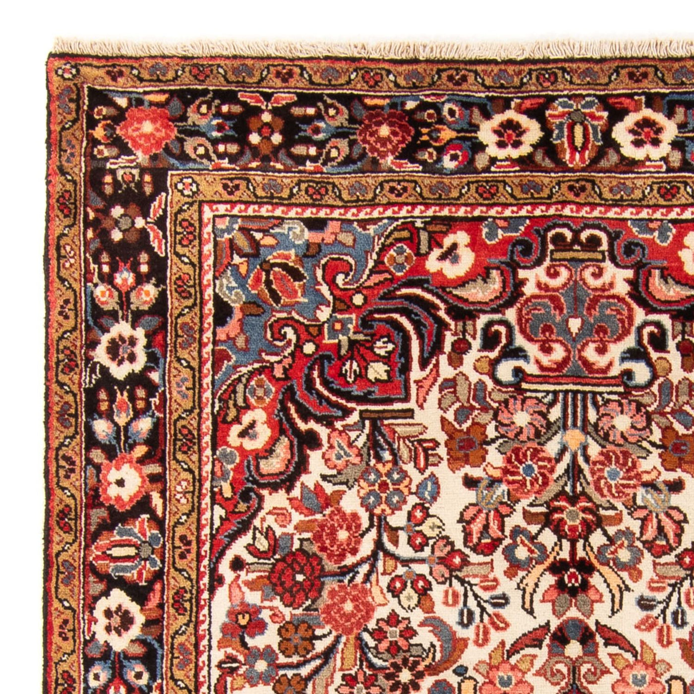 Borchalou Tapete 244x154cm - Tapete persa