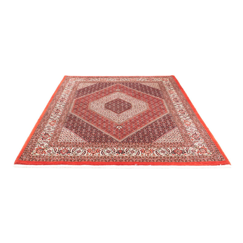 Bidjar - Takab Tapete 240x175cm - Tapete persa