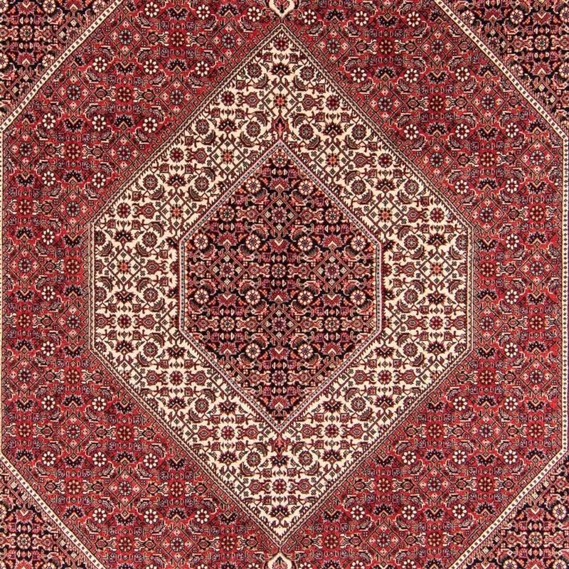 Bidjar - Takab Tapete 252x174cm - Tapete persa
