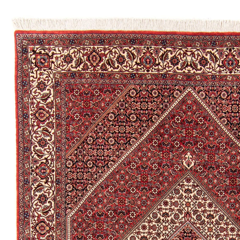 Bidjar - Takab Tapete 252x174cm - Tapete persa