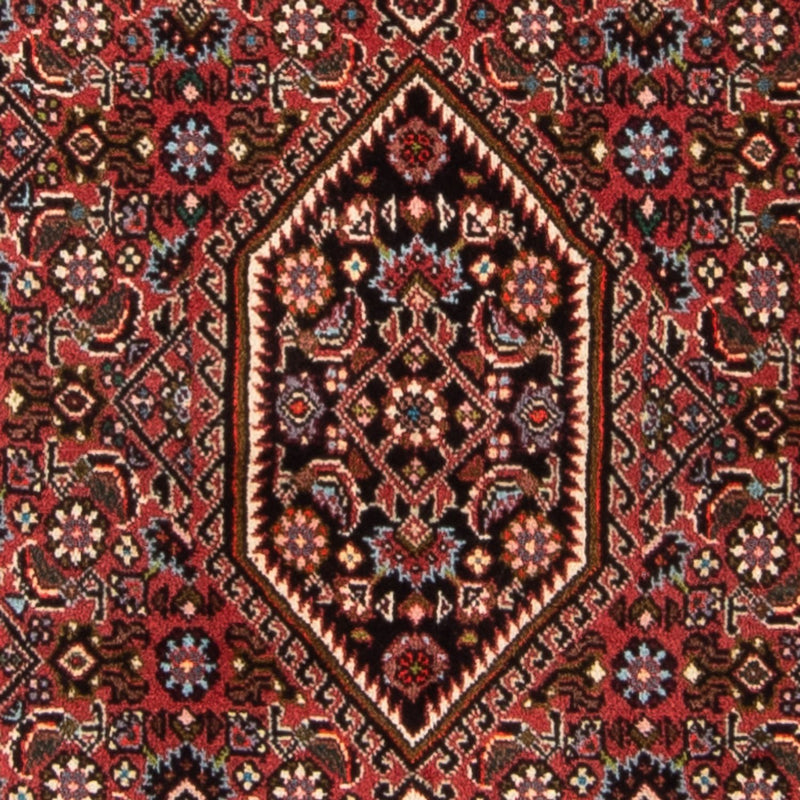 Bidjar - Takab Tapete 140x82cm - Tapete persa