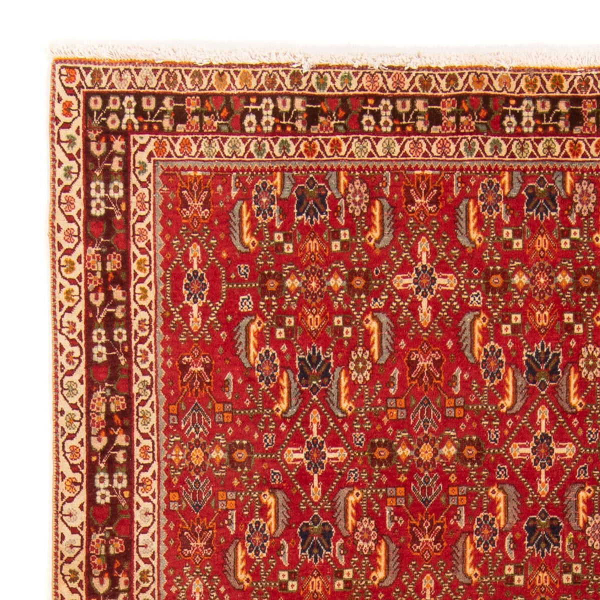 Kashkuli Tapete 130x192cm - Tapete persa