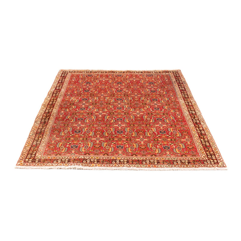 Kashkuli Tapete 130x192cm - Tapete persa