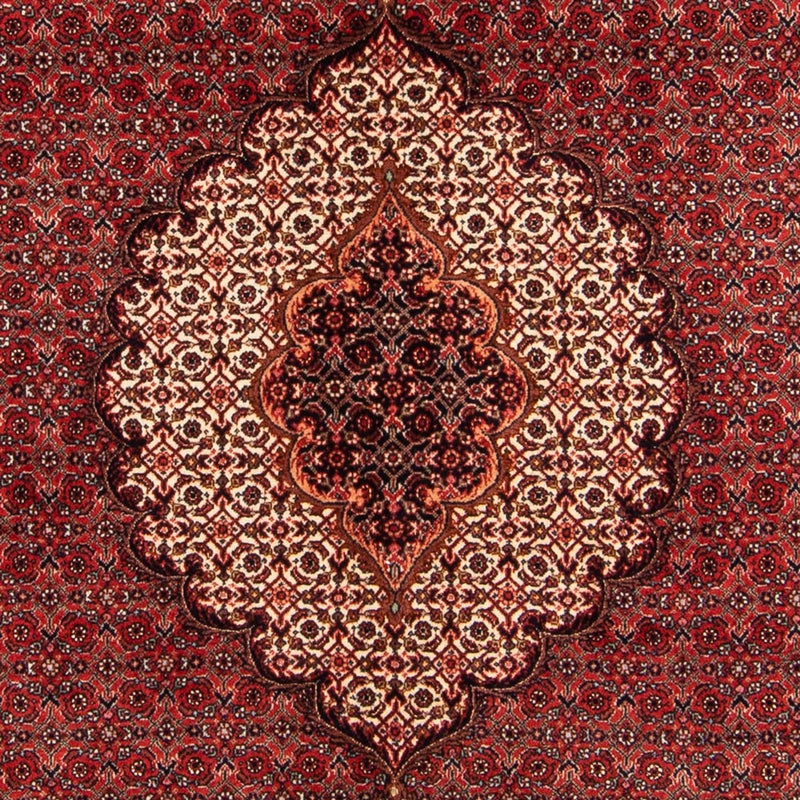 Bidjar - Takab Tapete 209x153cm - Tapete persa