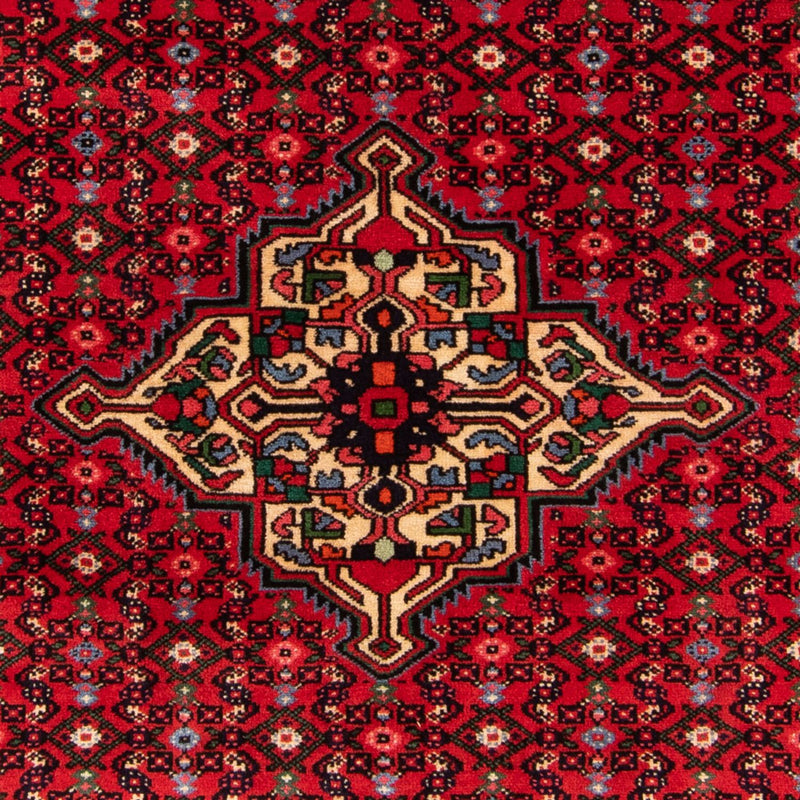 Hosseinabad Tapete 207x154cm - Tapete persa