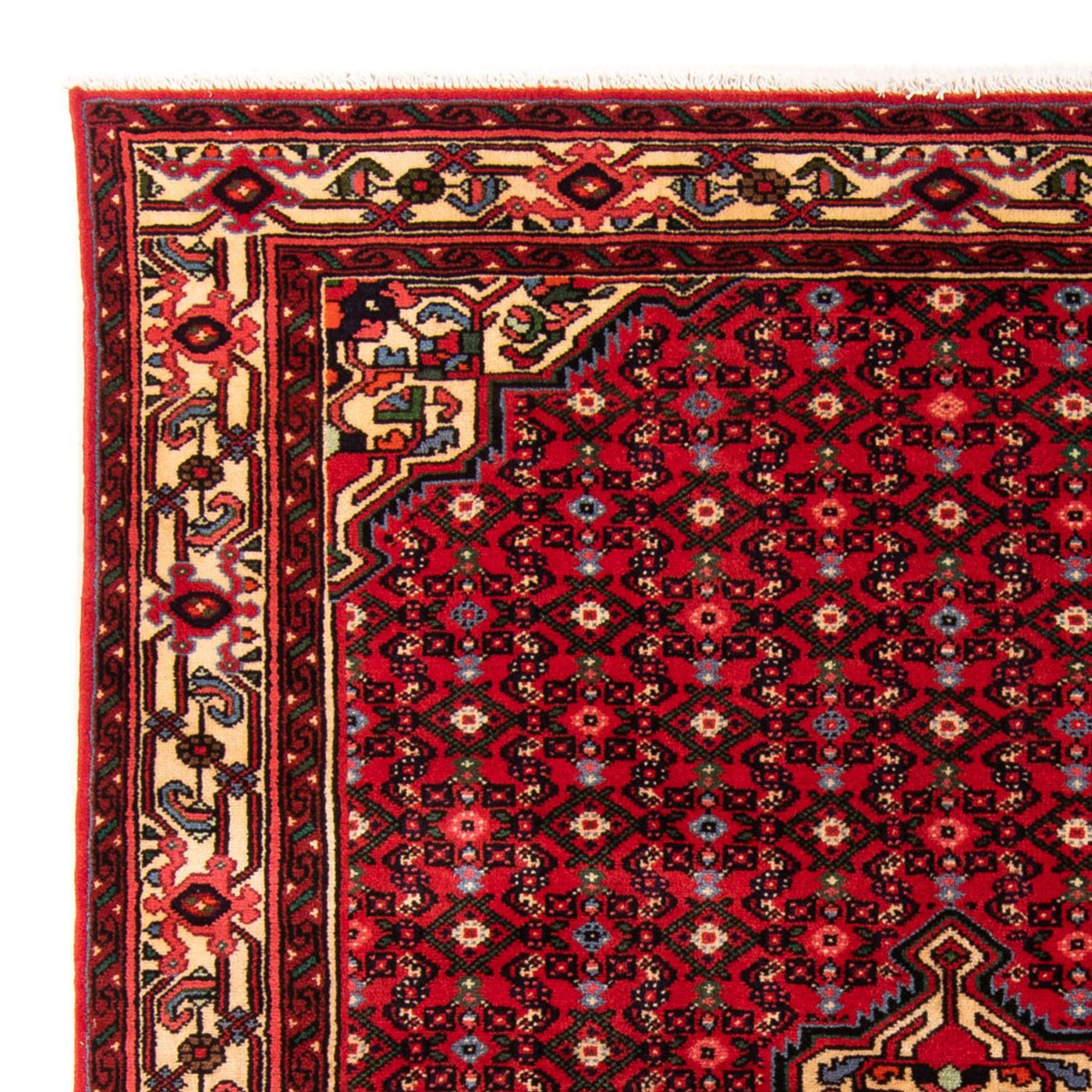 Hosseinabad Tapete 207x154cm - Tapete persa