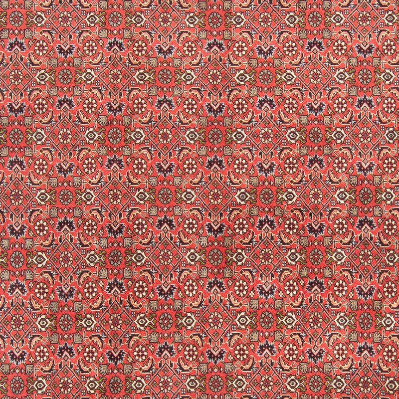 Bidjar - Takab Tapete 300x198cm - Tapete persa