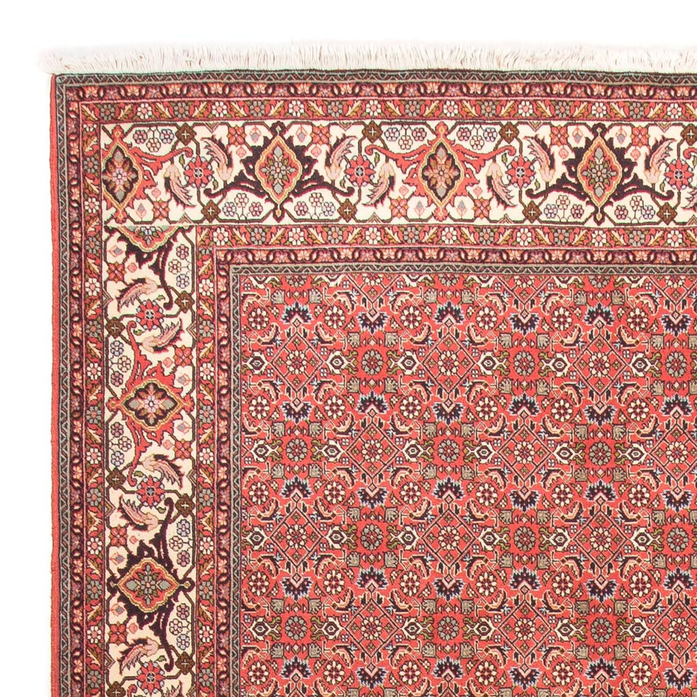 Bidjar - Takab Tapete 300x198cm - Tapete persa
