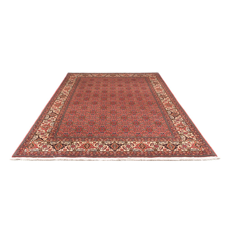 Bidjar - Takab Tapete 300x198cm - Tapete persa