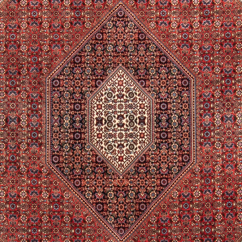 Bidjar - Takab Tapete 310x205cm - Tapete persa