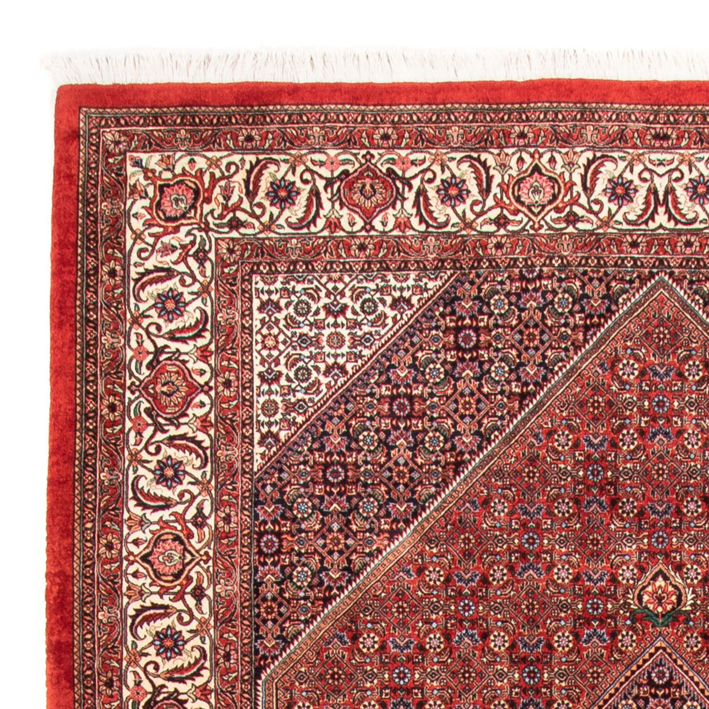 Bidjar - Takab Tapete 310x205cm - Tapete persa