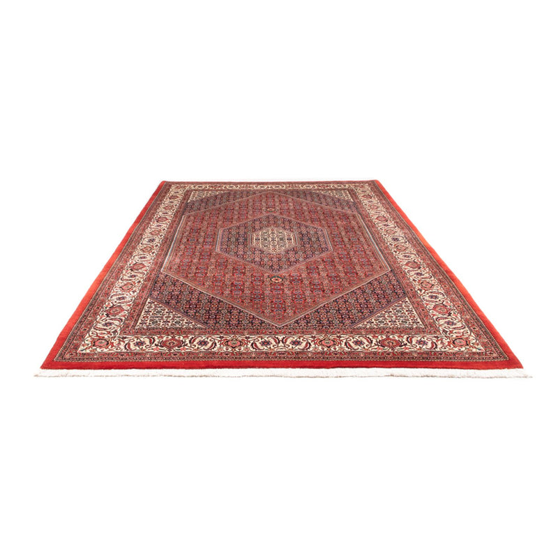 Bidjar - Takab Tapete 310x205cm - Tapete persa