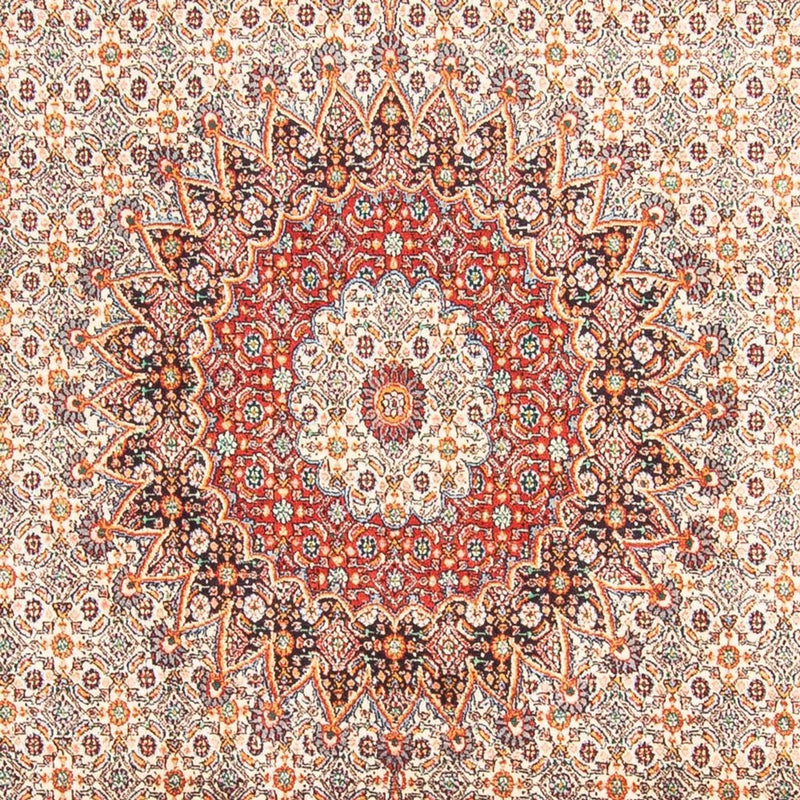 Moud Tapete 198x299cm - Tapete persa
