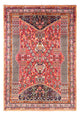 Qashqai Tapete 252x155cm - Tapete persa