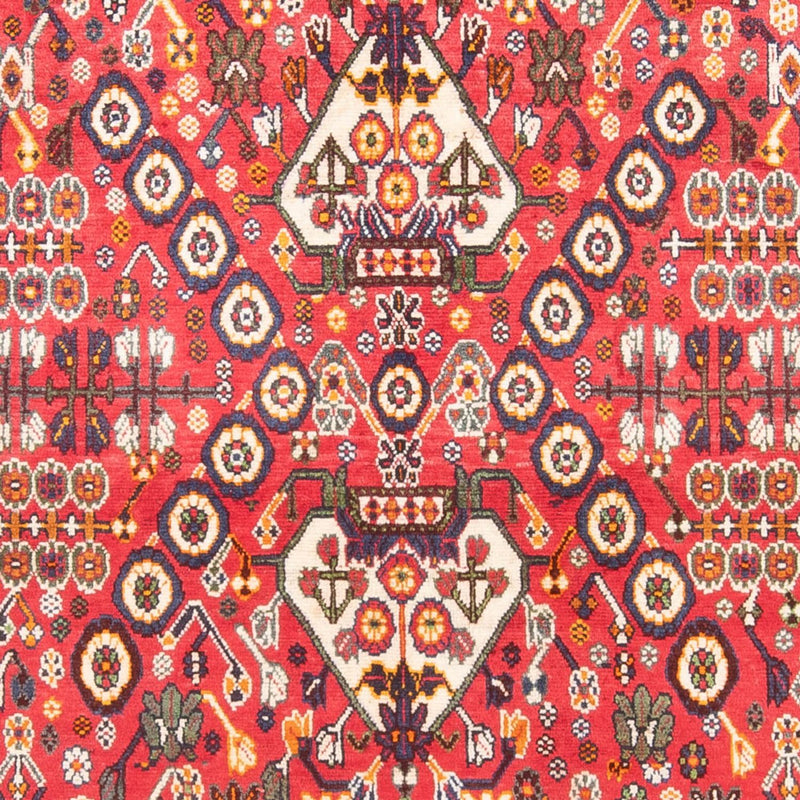 Qashqai Tapete 252x155cm - Tapete persa
