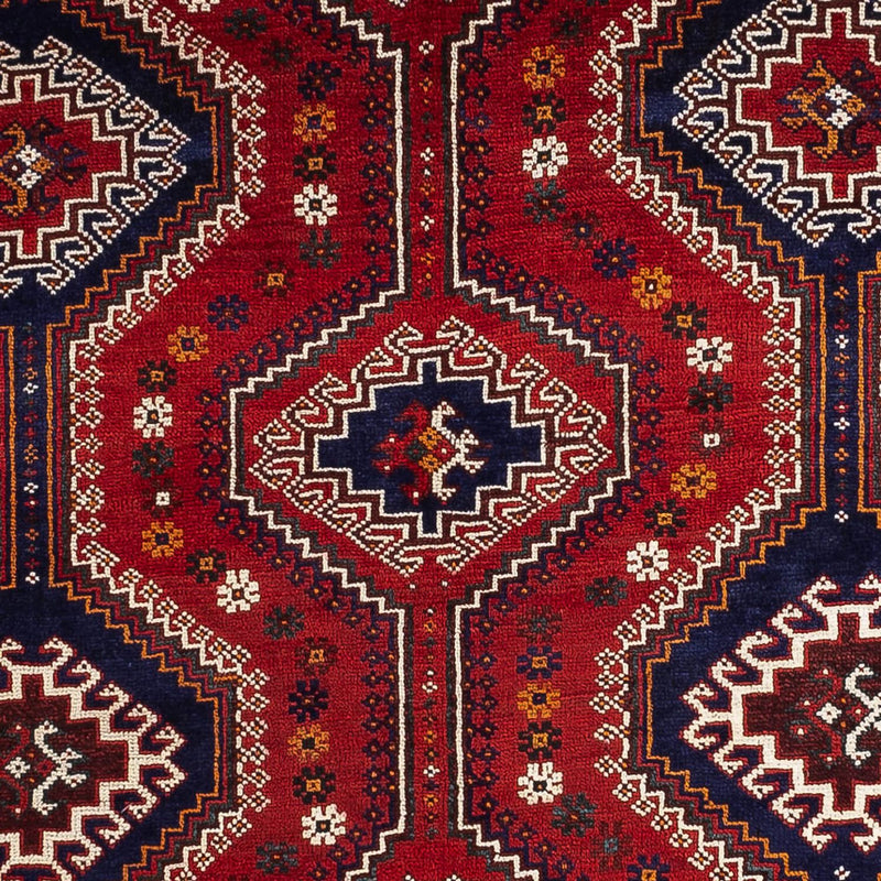 Qashqai Tapete 249x170cm - Tapete persa