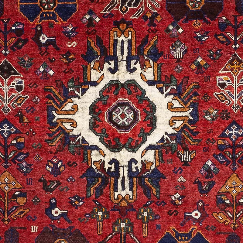 Qashqai Tapete 245x156cm - Tapete persa