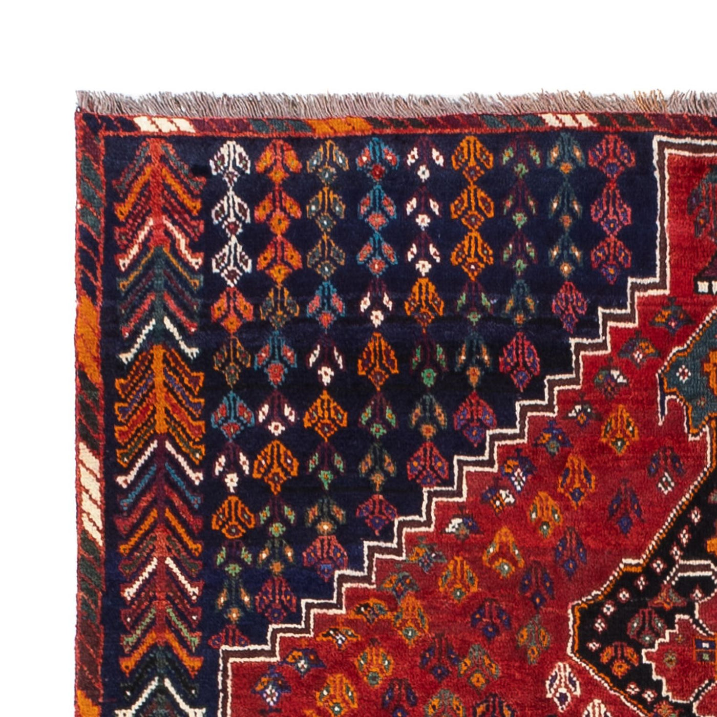Qashqai Tapete 211x155cm - Tapete persa