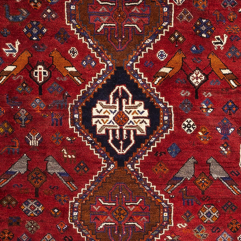 Qashqai Tapete 259x162cm - Tapete persa