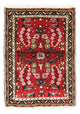 Hamadan Tapete 70x50cm - Tapete persa
