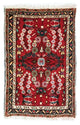 Hamadan Tapete 70x50cm - Tapete persa