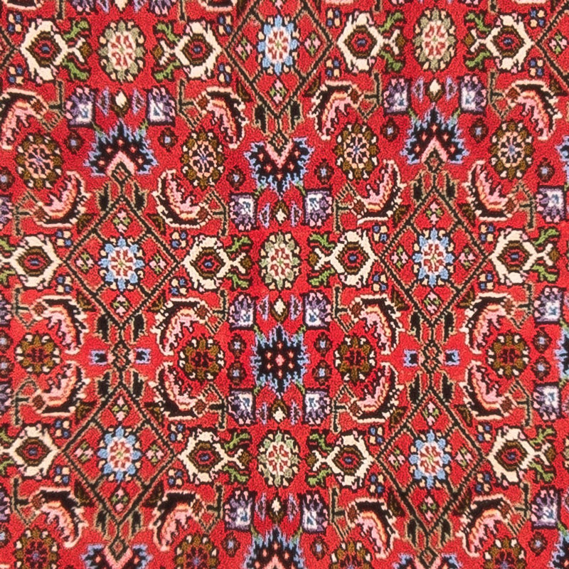 Bidjar - Bukan Teppich  - Perserteppich